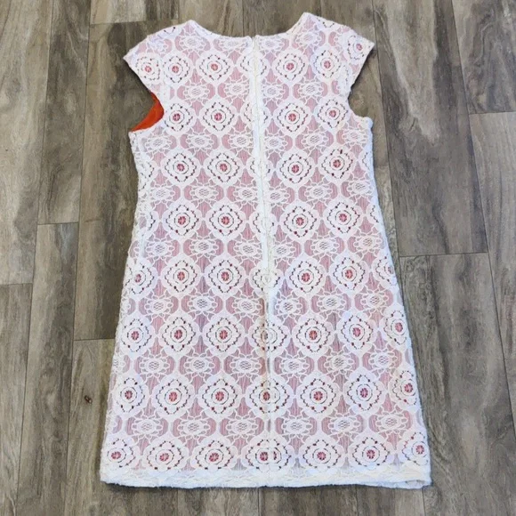 Dress Bundle sz10 Dress Barn Lace Satin - Picture 10 of 10